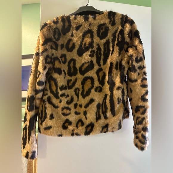 Leopard! - Picture 2 of 2